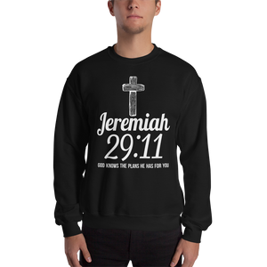 Jeremiah 29:11 - www.Resilientstar.com